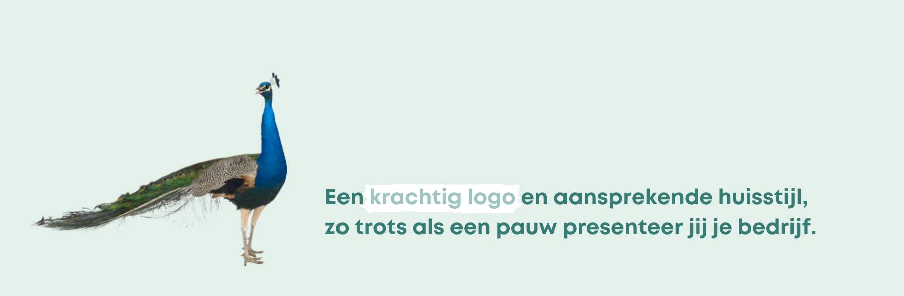 Online en offline branding - Design Domein Reeuwijk