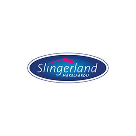 Social Media Slingerland - Design Domein