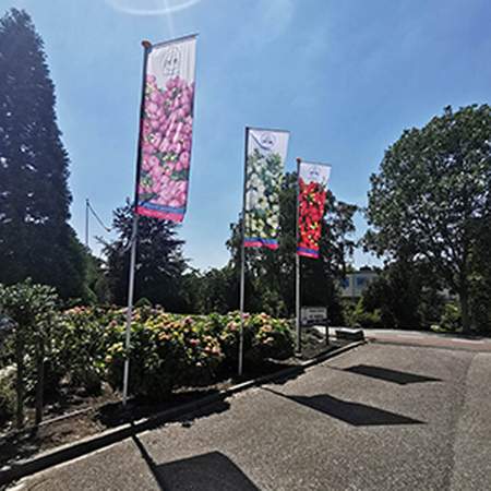 Banieren & Vlaggen - Design Domein