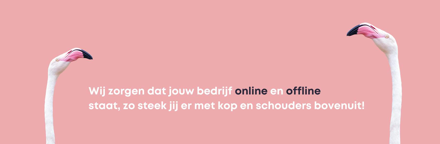 Online en offline advertentie's - Design Domein Reeuwijk